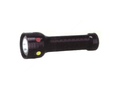 Multifunction pocket lights